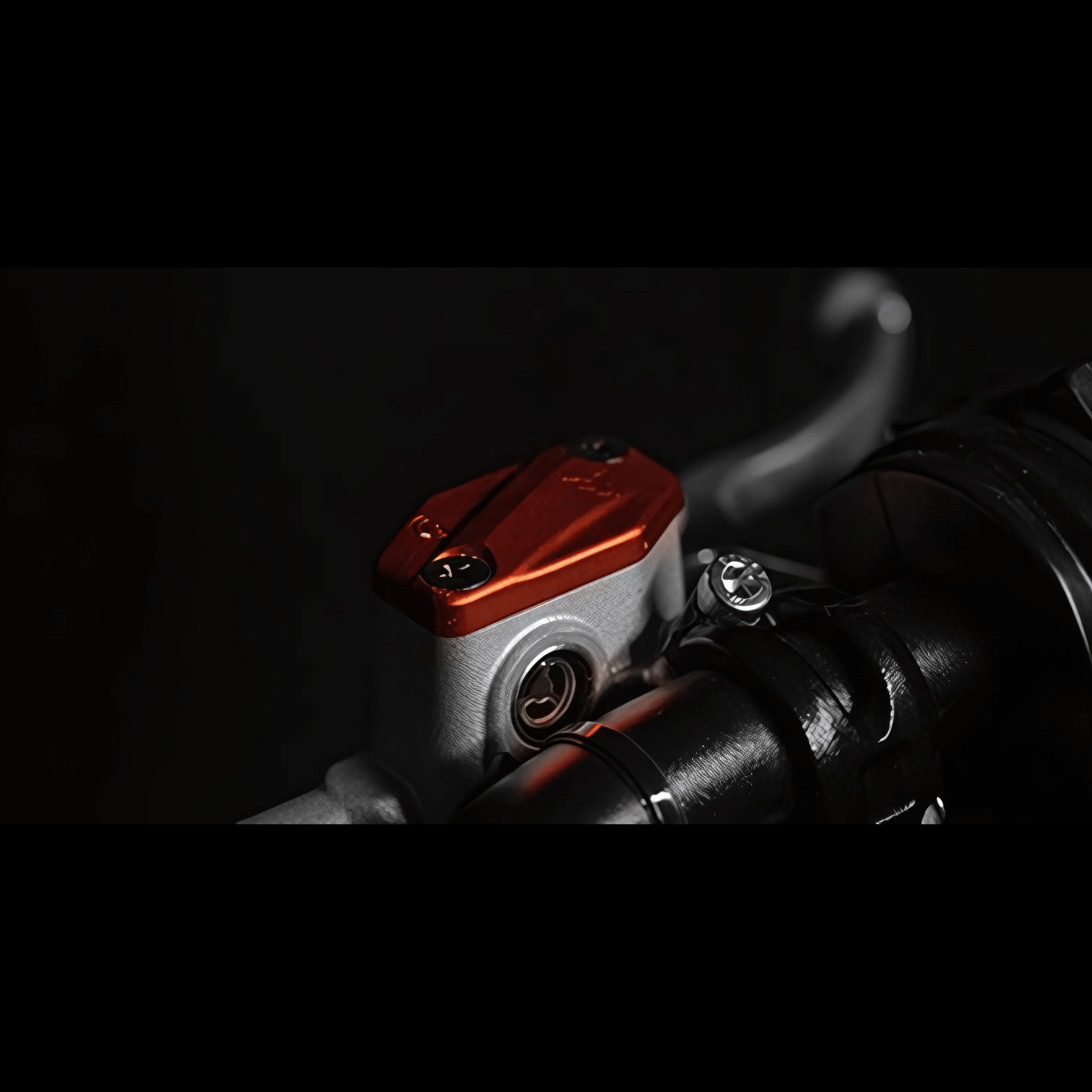 EAT - Arctic Leopard USA