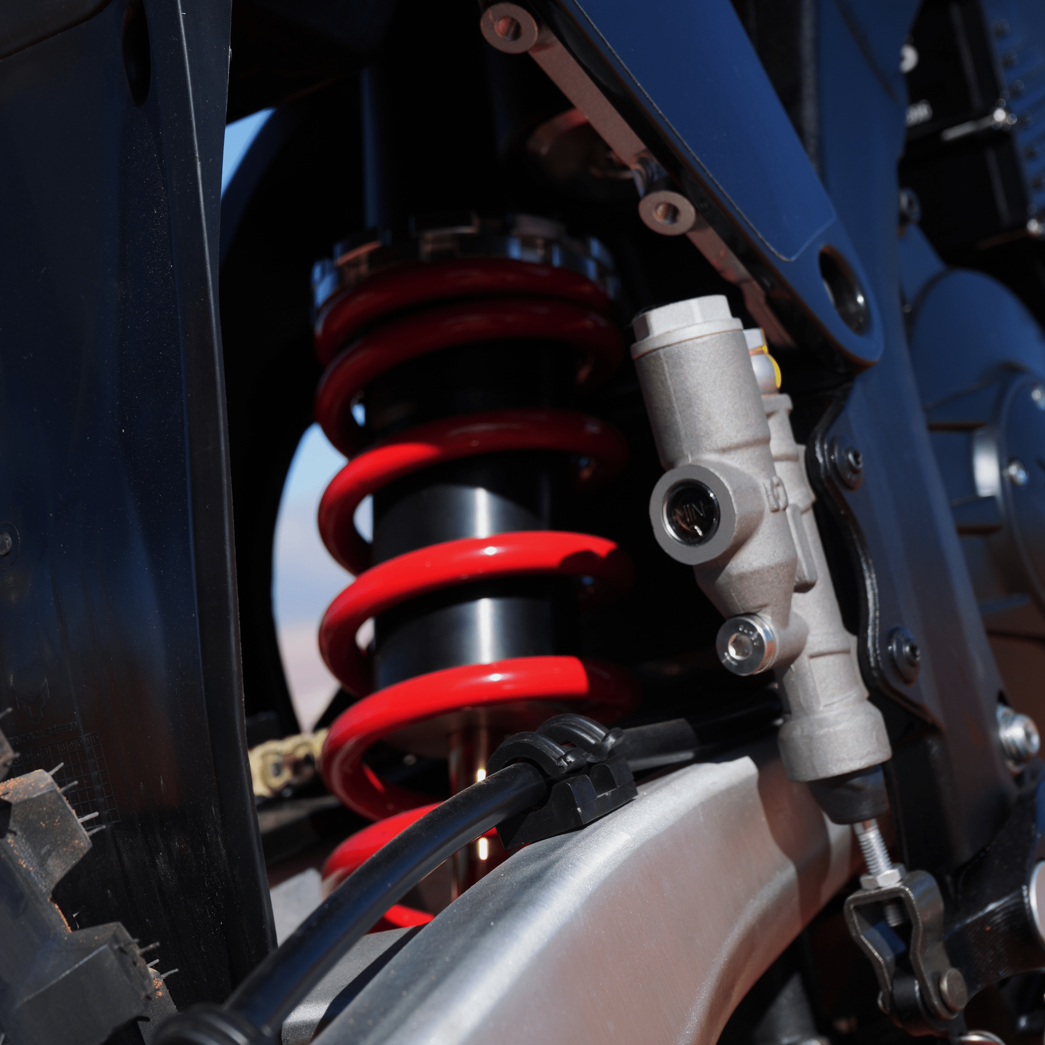 EXE 880 - Arctic Leopard USA