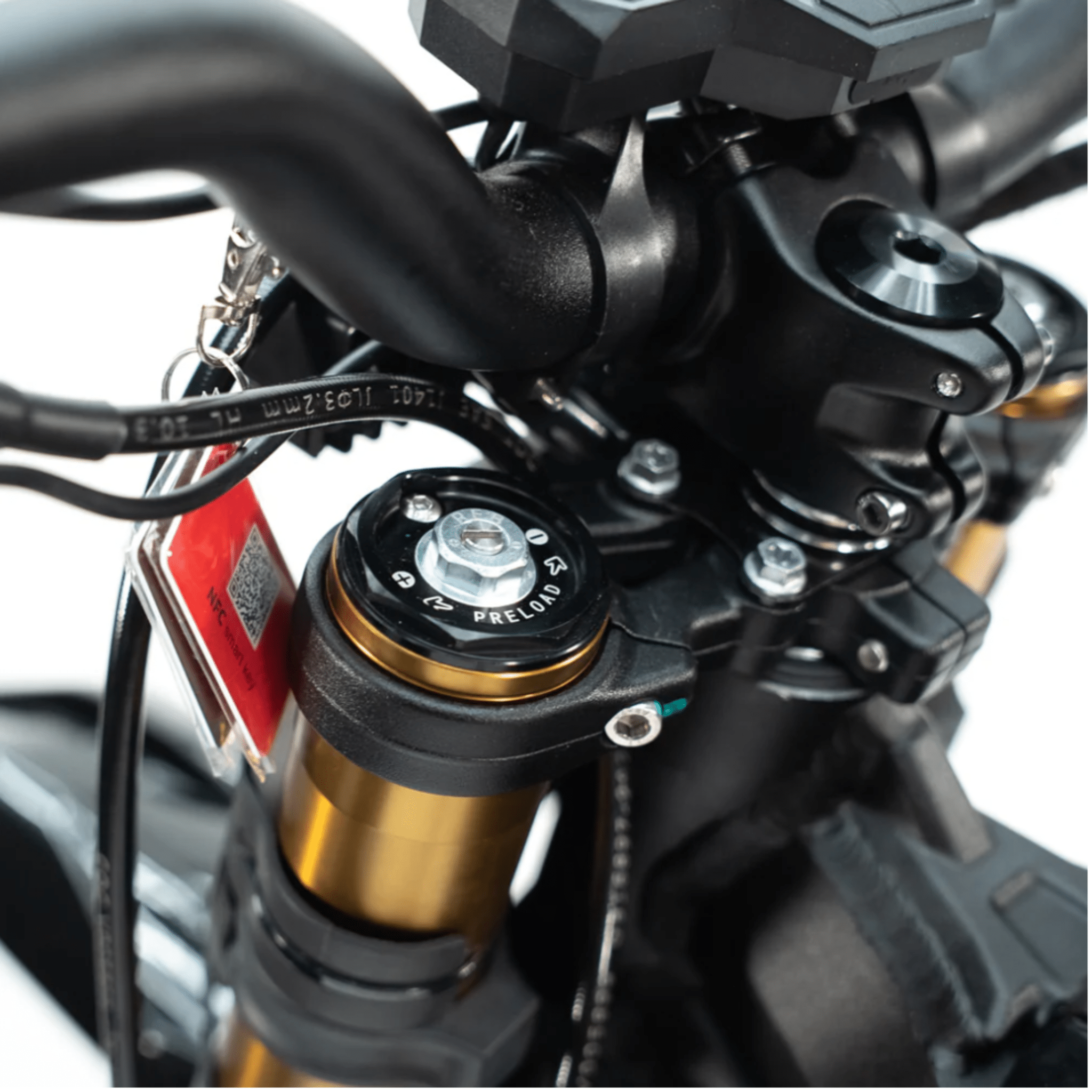 XE PRO S - Arctic Leopard USA