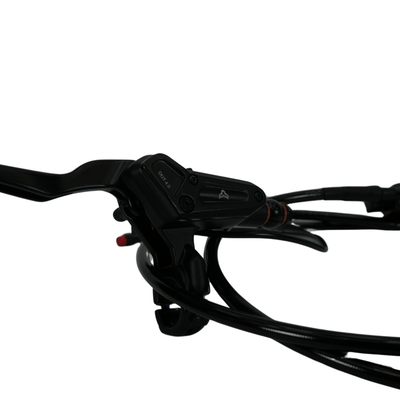 AL XE Pro Rear Brake Assembly (Arctic Leopard XE Pro OEM) - Arctic Leopard USA
