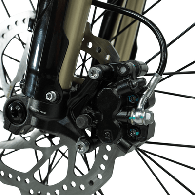 Arctic Leopard XE PRO R - Arctic Leopard USA