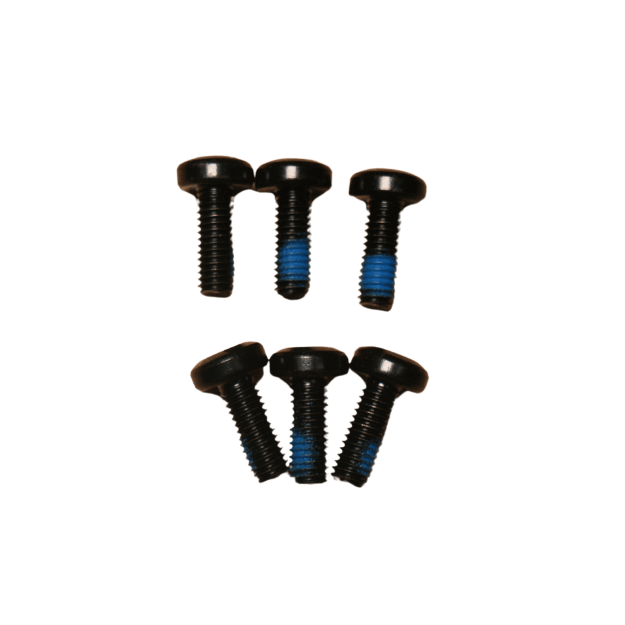 Arctic Leopard XE Pro S and R/XF Brake Disc Bolts- Set of 6 (AL OEM) - Arctic Leopard USA