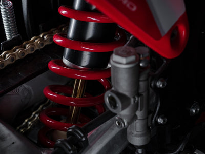 EXE - Arctic Leopard USA